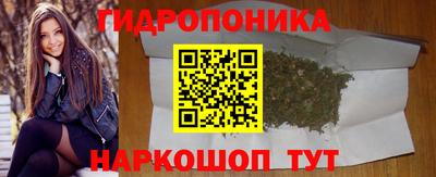 прущие грибы Волжск